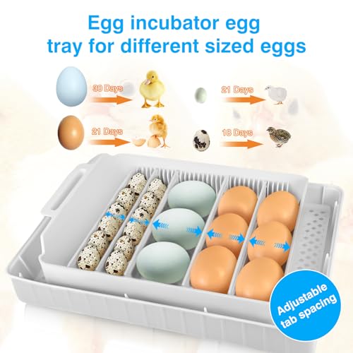 Incubators for Hatching Eggs 15-35 Eggs Incubator with Automatic Egg Turning and ℉Temperature Display LED Candler Poultry Incubator for Hatching Chicken Duck-Y (Blue)