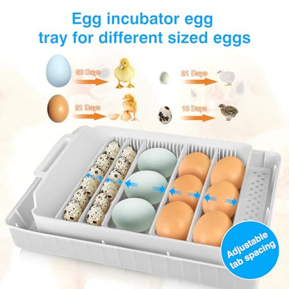 Incubators for Hatching Eggs 15-35 Eggs Incubator with Automatic Egg Turning and ℉Temperature Display LED Candler Poultry Incubator for Hatching Chicken Duck-Y (Blue)