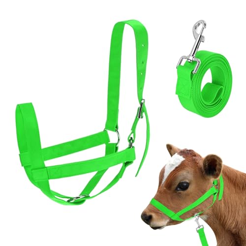 M METERXITY 1-Pack Adjustable Cattle Cow Calf Halter, 18.9"-23.23" Nylon Livestock Cow Halter with Leading Rope for Miniature Horse/Donkey/Goat/Cattle [Green] - color: Green, size: 18.9"-23.23"