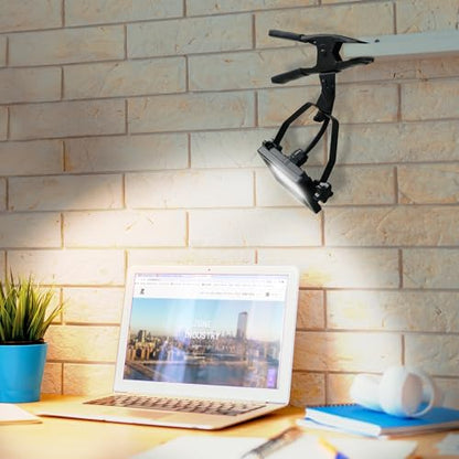 1200 Lumens Portable LED Clamp Work Light with 5ft 120V AC/60Hz Power Plug, Lightweight Design, Suitable for wet location, 10 Watts, 5000K Daylight, ETL Certified - color: Black