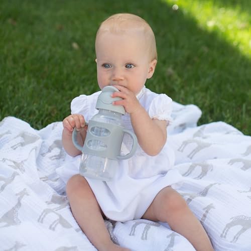 Dr. Brown's Milestones Wide-Neck Sippy Straw Bottle with 100% Silicone Handles and Weighted Straw, 9 oz/270 mL, Gray, 6m+ - color: 1-Pack, Gray, size: 1 Count (Pack of 1)