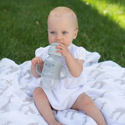 Dr. Brown's Milestones Wide-Neck Sippy Straw Bottle with 100% Silicone Handles and Weighted Straw, 9 oz/270 mL, Gray, 6m+ - color: 1-Pack, Gray, size: 1 Count (Pack of 1)