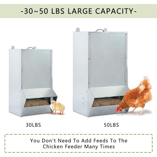 30lbs Capacity Galvanized Chicken Feeder,Outdoor Poultry Feeder with Weatherproof Lid,Hanging Chicken Feeder, Coop Food Dispenser