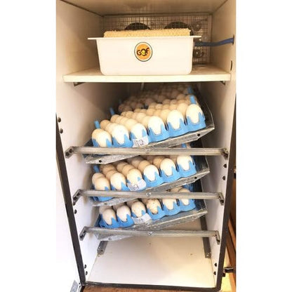 1500 Digital Professional Incubator - Holds Up to 288 Chicken Eggs