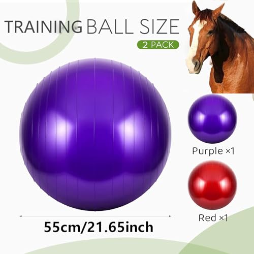 2pcs Horse Toy Balls with Inflation Pump, Suitable for Outdoor Entertainment, Training Balls for Horses and Goats (55cm/21.65inch) - size: 55cm/21.65inch
