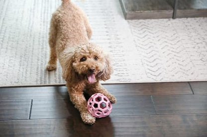 JW Pet HOL-ee Roller™, Dog Toy Puzzle Ball, Natural Rubber, Medium (4.5” Inch Diameter), Pink - color: Pink, size: 4.5 Inch