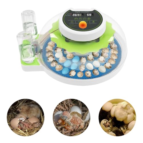 Bird Egg Incubator 60 Eggs, Poultry Quail Incubator, Automatic Temperature Control with Digital LED Display, Small Quail Brooder, for Parrot, Canary, Small Poultry & Bird Hatching - size: 60 Bird Eggs