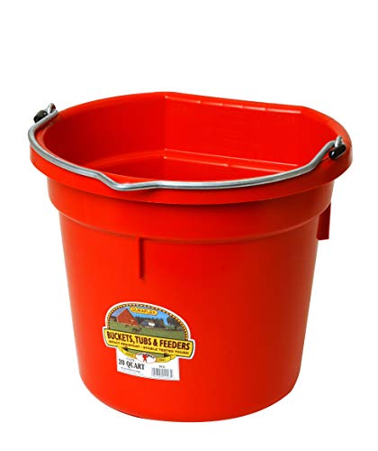 Plastic Animal Feed Bucket (Red) - Little Giant - Flat Back Plastic Feed Bucket with Metal Handle (20 Quarts / 5 Gallons) (Item No. P20FBRED6)