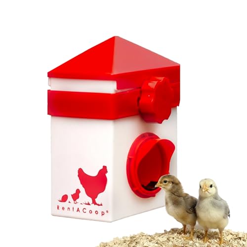 RentACoop Chick2Chicken 2.5lb BPA-Free Single-Port Chicken Feeder - Includes Anti-Roost Lid, Slider Port Cover, and Coop Clip, No-Waste Poultry Feeder Suitable for Quail, Chicks, and Adult Chickens