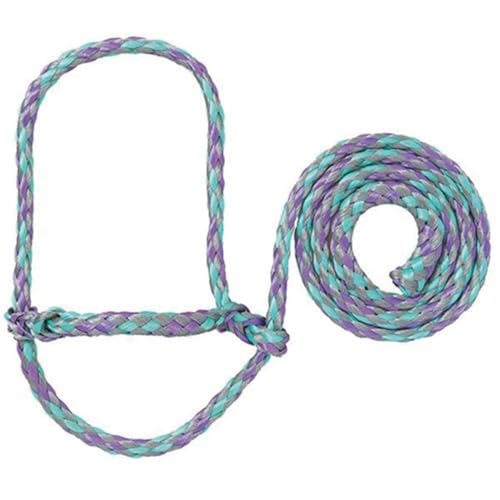 Sullivan's Soft Braid Sheep & Goat Halter - color: Purple Teal Silver