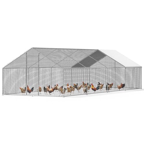 LEVELEVE Large Walk-in Chicken Coop with Chicken Run, Galvanized Poultry Enclosure with Waterproof Anti-UV Cover and Security Lock, Ideal for Rabbit, Duck, Backyard and Farm Yard，26.2'x 9.8'x 6.6' - size: 26.2'L x 9.8'W x 6.6'H