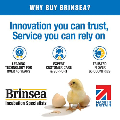Brinsea Mini II Advance Egg Incubator Classroom Kit Brooder Pack for Students with Lesson Plan, Egg Scope, EcoGlow Brooder, Plastic Chick Enclosure, Feeder and Drinker for Hatching Chicks, Ducklings - size: Classroom Kit, 7 Eggs
