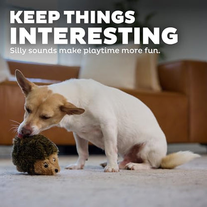 Outward Hound Hedgehogz Stuffed Dog Toy – Soft Plush Hedgehog, Squeaks, 6" x 4" x 4.5" - size: Small (Pack of 1)