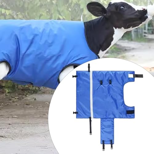 Calf-Warming Clothing, Calf-Warming Blanket, Windproof Oxford, Keeping Calves Warm, Accessories, Blue Jacket, L Waterproof - color: L Waterproof