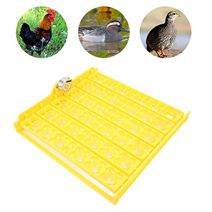 Egg Incubator Tray, Hollow Four Leaf Fancy Automatic Egg Turning Tray, Egg Turner for Survivors, Small Commercial Farmers, Chicken Duck Quail (12V) - size: 12V
