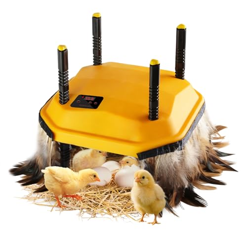 10 * 10inch Chick Brooder Heater Plate with Temperature Adjustable and Display,Adjustable Height & Angle Brooder Box for Baby Chicks Quail Duckling Chicken Heat Warmer Lamp Poultry Habitat Supplies - size: 9.0"L x 10.0"W x 10.0"H