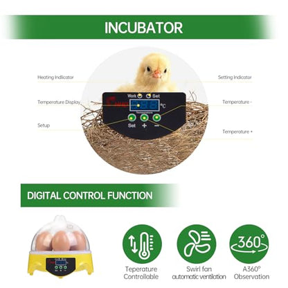360° View 7-Egg Poultry Incubator for Hatching Chicken, Duck, Goose, Parrot, and Quail Eggs, with Temperature Control