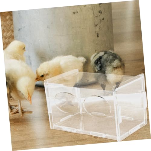 3pcs Chicken Feeder Automatic Poultry Feeding Container for Chickens and Quails Easy to Clean Promotes Feeding Schedule for Backyard Farmers