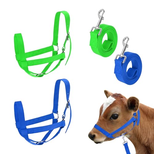 M METERXITY 2-Pack Adjustable Cattle Cow Calf Halter, 12.6"-18.9" Nylon Livestock Cow Halter with Leading Rope for Miniature Horse/Donkey/Goat/Cattle [Green, Blue] - color: Green, Blue, size: 12.6"-18.9"