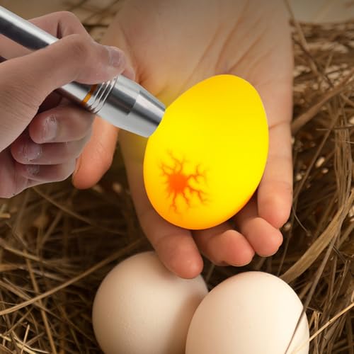 Cold Light LED lamp Egg Illuminator Egg Hatching Illuminator Suitable for Eggs, Duck Eggs, Bird Eggs, All Kinds of Eggs Illuminator