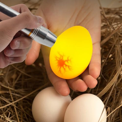 Cold Light LED lamp Egg Illuminator Egg Hatching Illuminator Suitable for Eggs, Duck Eggs, Bird Eggs, All Kinds of Eggs Illuminator