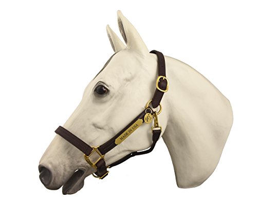 Horse Fare Leather Halter with Solid Brass Hardware & Customized Nameplate- Made in The USA - color: Black, size: Pony