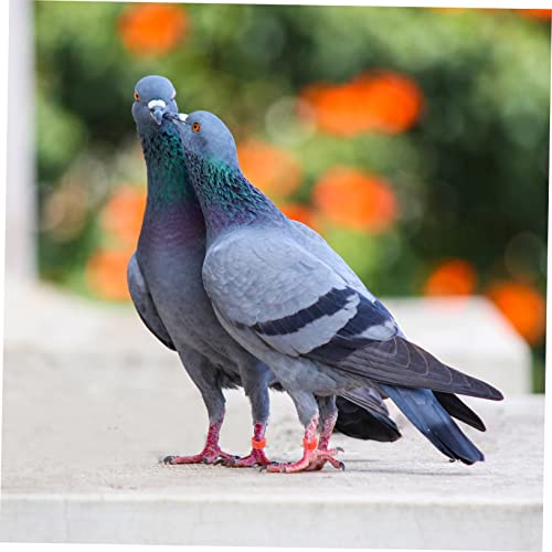 Mikikit 100pcs Pigeon Identification Leg Bands Plastic Foot Rings for Pigeons and Chickens Color-Coded Marking Rings for Easy Identification