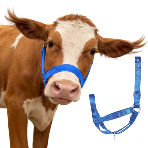 Adjustable Reinforced Nylon Calf Halter – All-Purpose, Durable Design for Cattle, Donkey, Goat, and Miniature Horse (Blue, M) - color: Blue, size: M( 650-1050lbs)