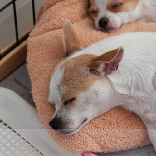 Ipetboom Critter Cage Guard 8Pcs Guinea Pig Cage Barrier Plate Small Pets Blocker Cuttable Wire Panel Edge Liner for Indoor Playpen Bedding and Waste Control
