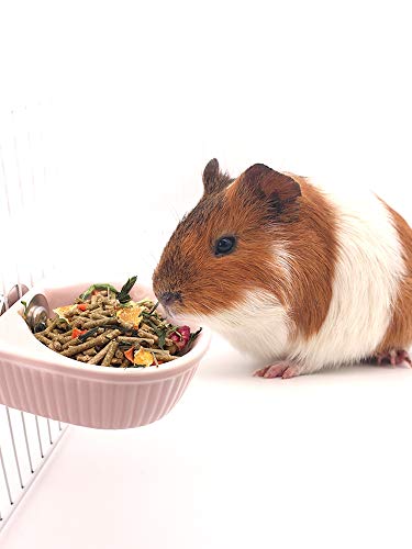 Small Animals Bowl, Detachable Cage Feeder Pet Ceramic Water & Food Feeder, Small Animal Supplies for Rabbit Parrot Squirrels Chinchilla Hamster Ferret (Pink, M) - size: M