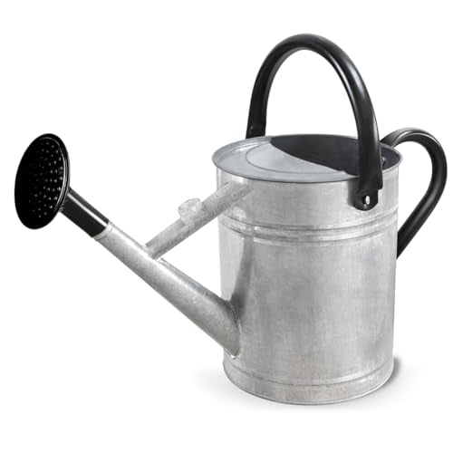 1 Gallon Metal Watering Can with Removable Spout, Nice Galvanized Steel Water Can for Indoor and Outdoor Plants (House Plants) - color: Silver