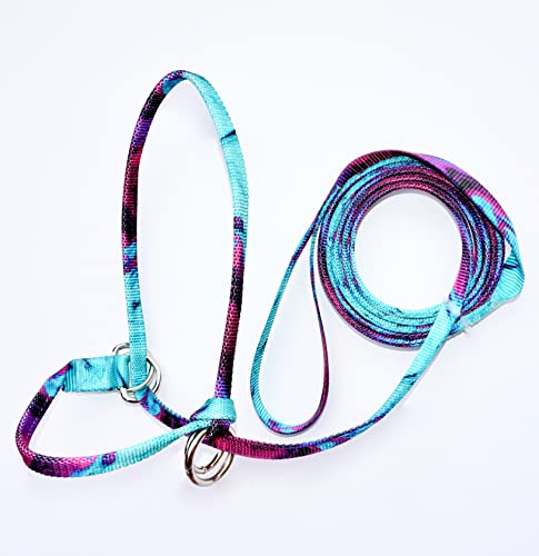 Small Pattern Yearling Calf, Miniature Cow Endless Adjustable Halter & Lead USA 650-1050lbs (Blue Basket)