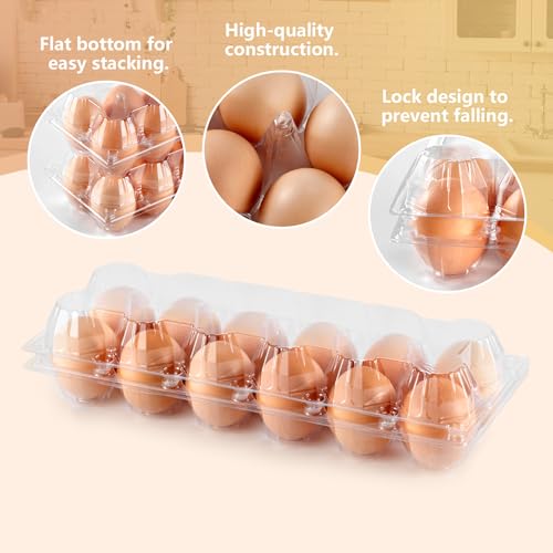 60PCS Egg Cartons 12 Count, 1 Dozen Clear Blank Egg Cartons Cheap Bulk for Large Eggs, Blank Chicken Egg Tray Holders for Family, Chicken Farm, Business Market Display - size: 60Pack-2x6 Grids
