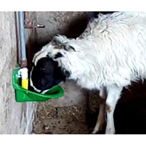 Automatic Sheep Water Bowl Vertical Nuzzled Valve Auto Fill Goat Waterer | Livestock Water Trough for Horse Pig Hog Cow, Self-filling Cattle Tank, animal multi-purpose Bucket Drinker watering system