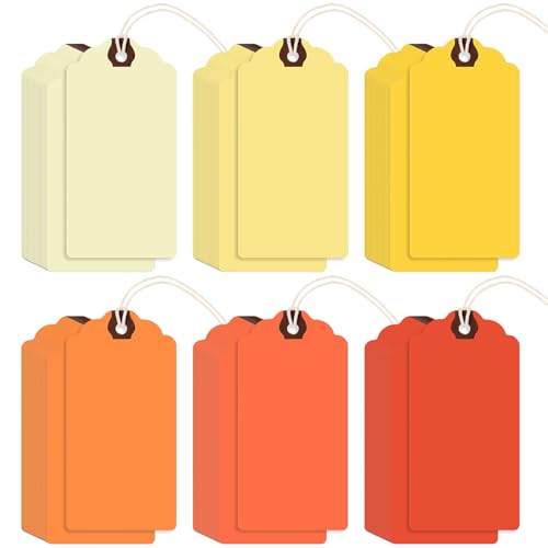 Outus 60 Pcs 4 3/4-in x 2 3/8-in Blank Large Paper Gift Tags with String and Reinforced Eyelet Wire Writable Price Tags Shipping Labels Inventory Labels(Orange) - color: Orange