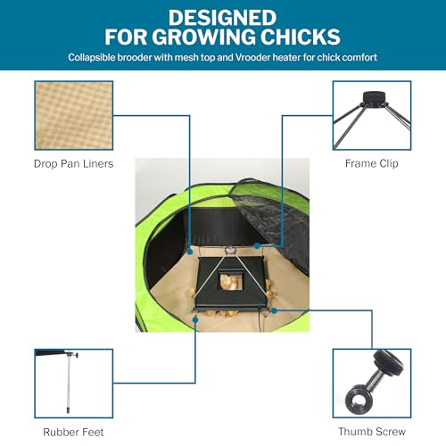 Insta Brooder™ with Vrooder™ Heater Plate - Chicken Pop Up Playpen with Removable Mesh Top - Portable and Foldable Chicken Pen - Indoor Brooder Box for Chicks (36 x 36 x 18 inches)