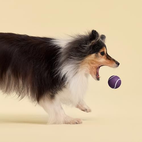 Playology Dog Toys | Squeaky Chew Ball for Dogs, Value 3-Pack | Bacon Scented Small Dog Balls | Bouncy Floating Chew Toys for Fetch - size: Small (VALUE 3-Pack), style: Bacon