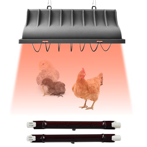 Chicken Coop Heater for Chicks,Brooder Heater with 2pcs Heat Lamp(250W and 175W),Adjustable Temp & Height Chicken Brooder Box Supplies for Chicken Livestock Dogs Sheep Pets - size: 1 Pack