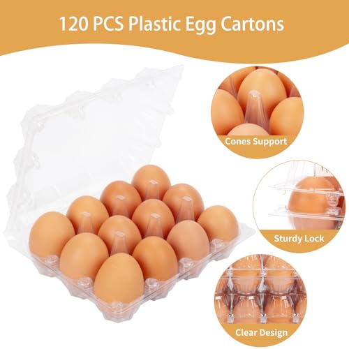 120Pack Egg Cartons Cheap Bulk One Dozen Clear Egg Cartons for Home Ranch Chicken Farm, Commercial Business Market Display, 3x4 Grids - size: Medium, style: 3x4Grids-120count