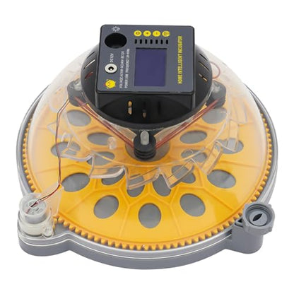 12 Egg Incubator with Automatic Egg Turning & Humidity Control, LCD Display Temp Humidity, Dual Power Ac/Dc with External Battery Cable for Hatching Chicken Duck Eggs Home Farm