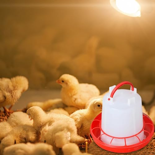 Poultry Feeder, Chicken Feeder and Waterer Set, Food Dispenser, Starter Kit, Baby Supplies - color: style1