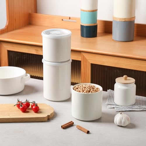 Sweejar Ceramic Food Storage Jar, Salt Container with Airtight Plastic Lid & Date Tracker, 28 Oz Kitchen Canisters for Flour, Rice, Sugar, Coffee, Spices, Pantry Organization (White) - color: White, style: 28 Fl Oz (Plastic Lid)