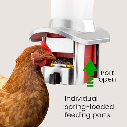 Roamwild Rat Proof Chicken Feeder kit - Rat Proof Poultry Feeder – Weather Proof - 8lbs Capacity - NEW PRODUCT