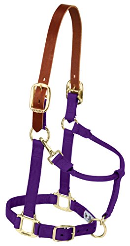 Weaver Equine Breakaway Horse Halter, Supple Leather Crown, Adjustable Brass Throat Snap Halters for Horses, Equine Tack - color: Purple