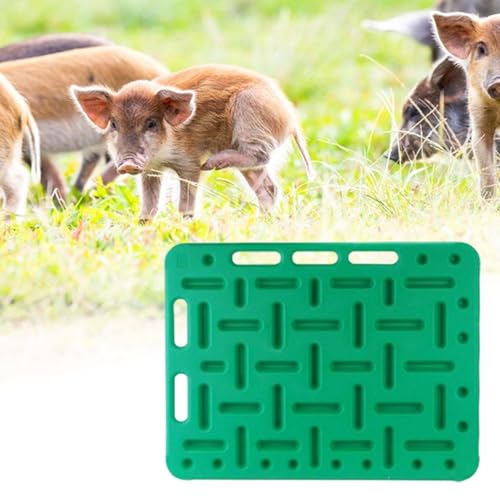 Livestock Sorting Board for Pigs and Cattle 76x97cm, Green