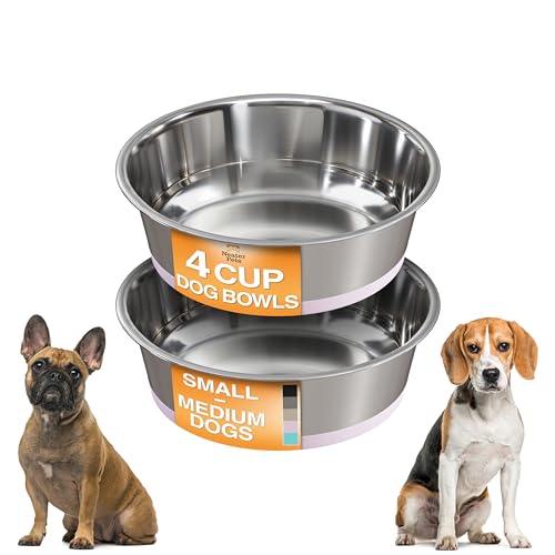 Neater Pet Brands Stainless Steel Dog Bowls with Non-Slip Rubber Bottom – Set of 2, 4 Cup (32 oz), Pink - Heavy Duty Metal Dog Bowl, Dishwasher Safe, Food or Water Bowl, Ideal for Medium Dogs - color: Light Pink, size: 4 Cup (Set of 2)