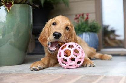 JW Pet HOL-ee Roller™, Dog Toy Puzzle Ball, Natural Rubber, Large (5.5” Inch Diameter), Pink - color: Pink, size: 5.5 Inch