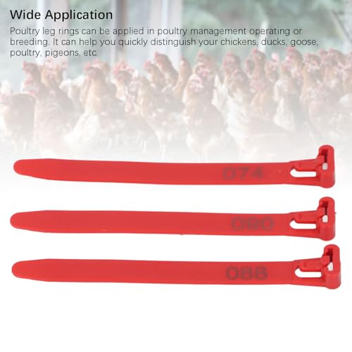 Chicken Leg Rings 1-100 Numbered | Reusable Poultry Identification Leg Bands for Ducks/Chicks/Pigeons/Goose | Sturdy PP Material Easy to Apply and Take Off (Red) - color: Red