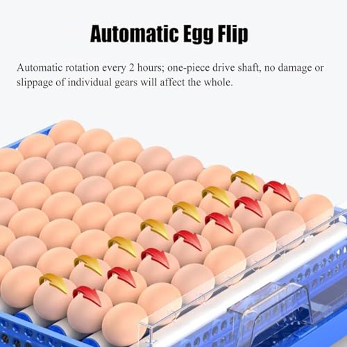 256 Eggs Automatic Chicken Incubators, Farm Poultry Hatcher Machine, LED High-Efficiency Automatic Egg Turning & Temperature Control, for Hatching Chicken Duck Goose Birds - color: 256 Eggs