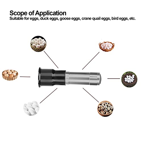 SUNGOOYUE Egg Candler Tester, Metal and Plastic LED Cool Light Egg Tester, Detachable Cone Spot Light, Battery Powered for Quail Duck Goose Chicken Eggs, Incubator Use (Silver) - color: Silver
